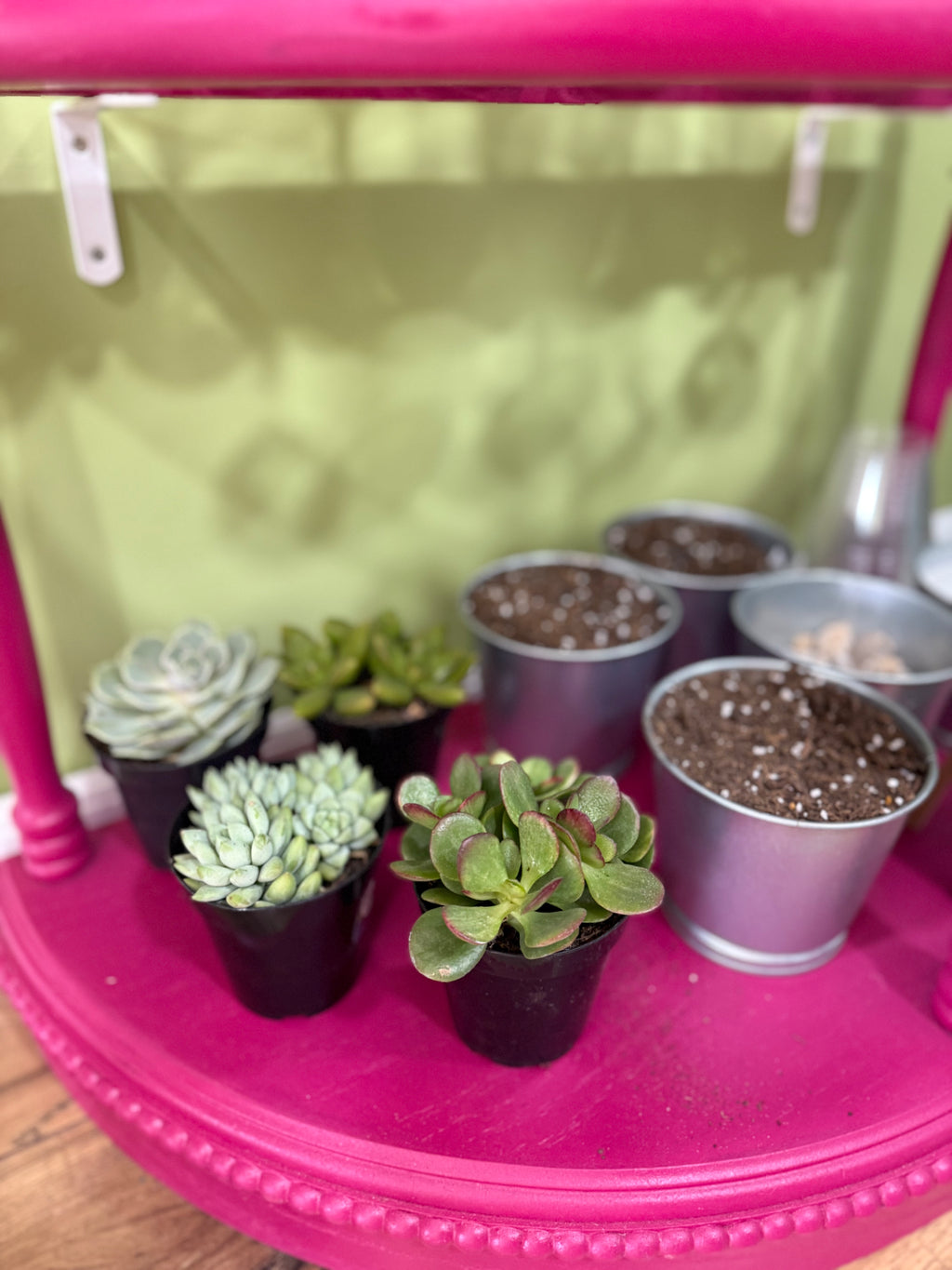 Pots & Palettes Adult Party